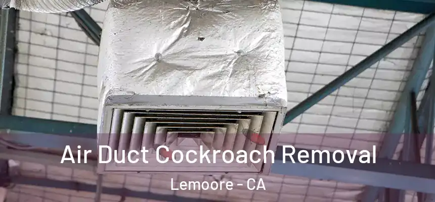  Air Duct Cockroach Removal Lemoore - CA