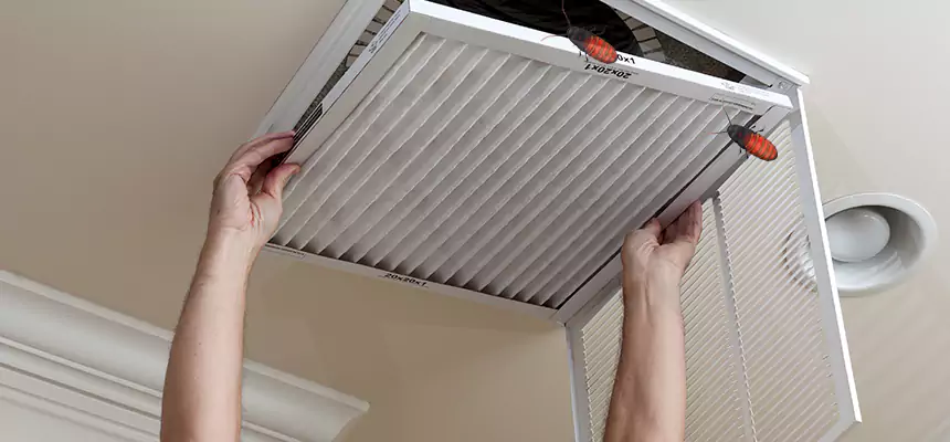 Preventive Cockroach-Proofing for Ducts in Lemoore
