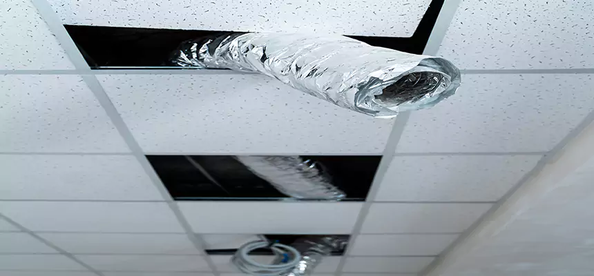 Affordable HVAC Sanitizing After Pest Removal in Lemoore