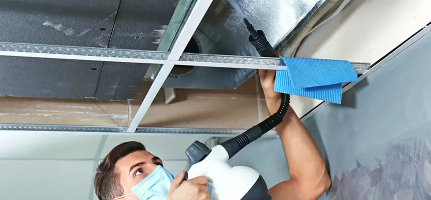 Our Air Duct Rodent Removal Services in Lemoore, CA