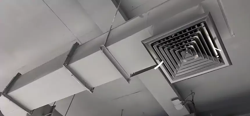 Our Pest Removal From Ducts Services in Lemoore, CA