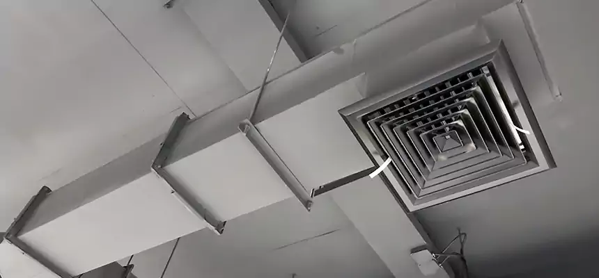 Our Rodent Droppings In Vents Services in Lemoore, CA