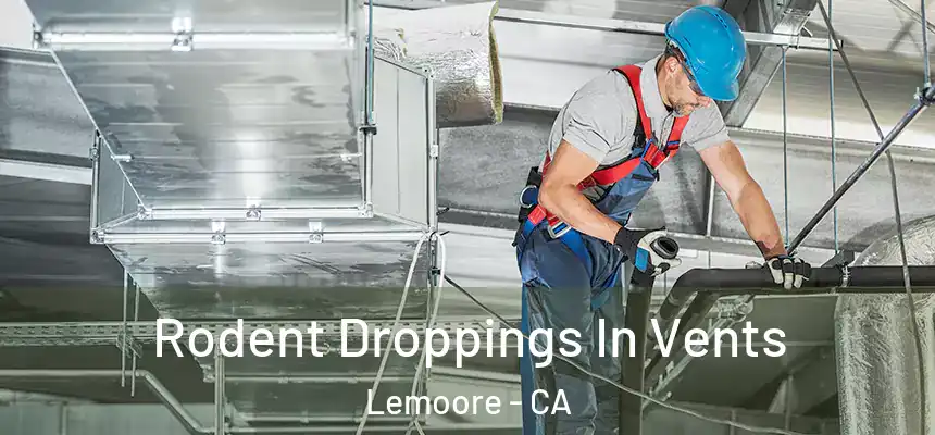  Rodent Droppings In Vents Lemoore - CA