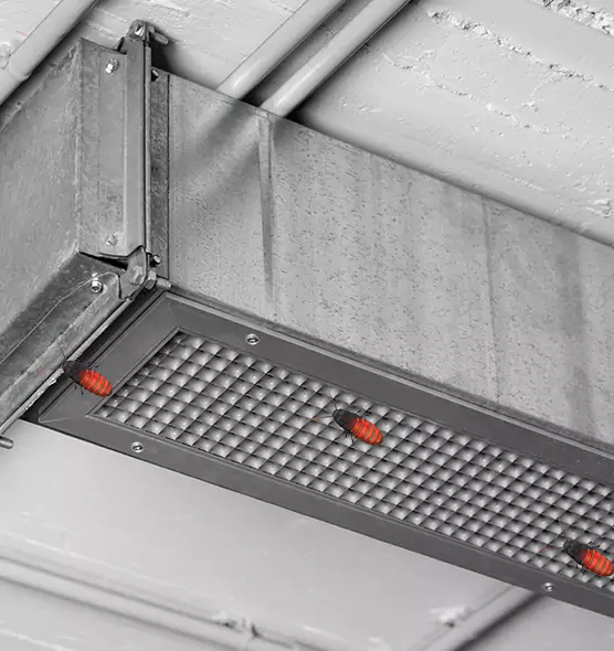 About Air Duct Cockroach Removal in Lemoore, CA