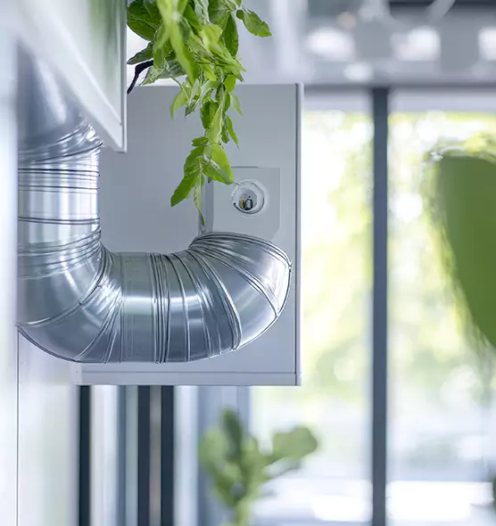 Professional Eco-Friendly Duct Cleaning Services in Lemoore, CA