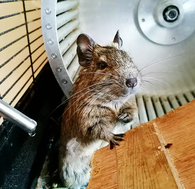 Why Homeowners & Businesses Trust Us Lemoore, CA