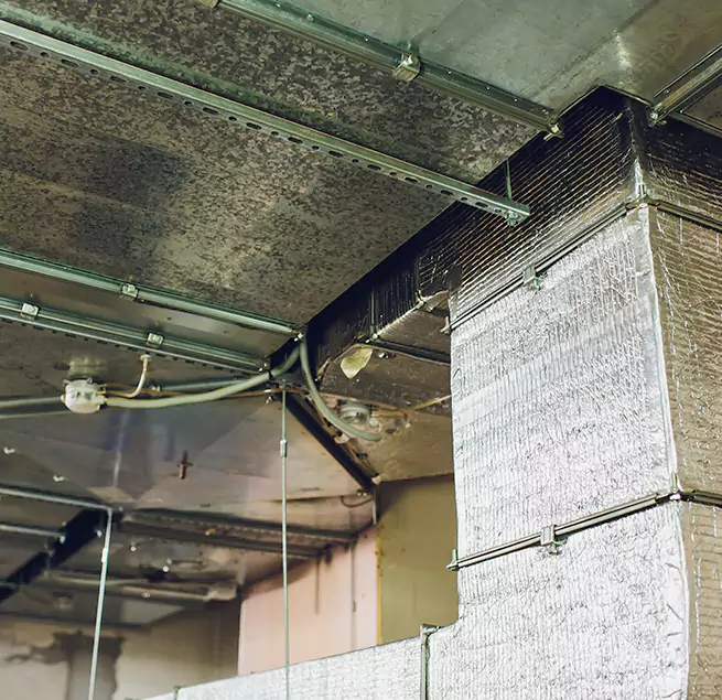 Why Homeowners & Businesses Trust Us in Lemoore, CA?